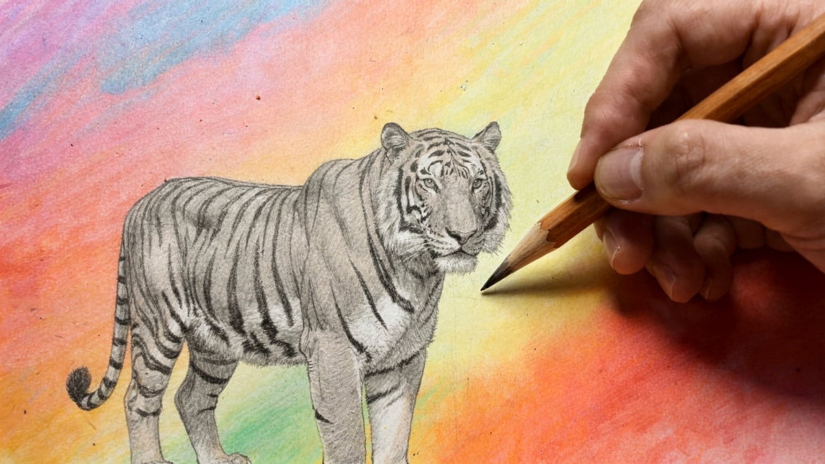 Aprende a desenhar tigres