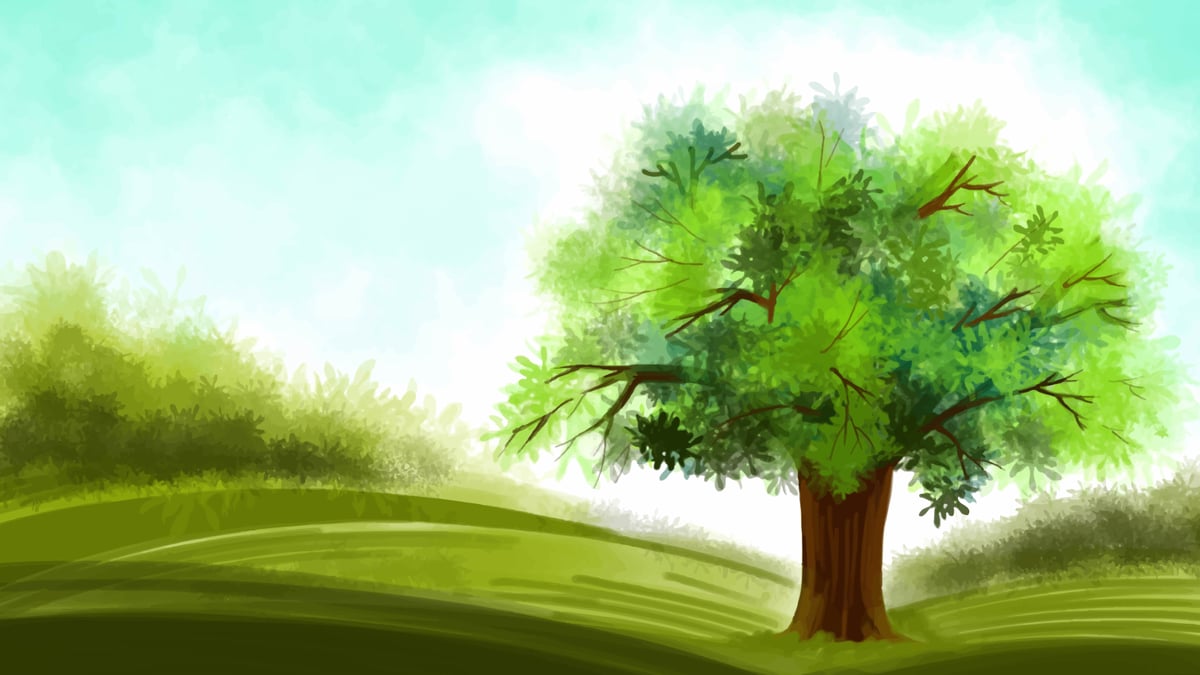 A Árvore de Sophia de Mello Breyner Andresen