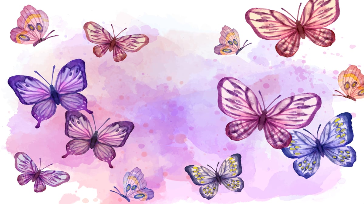 A Borboleta Violeta, história para encantar crianças