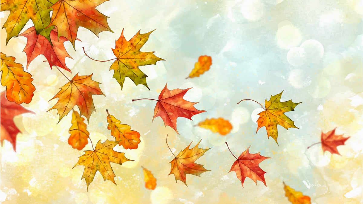 É Castanho o Outono! História portuguesa.