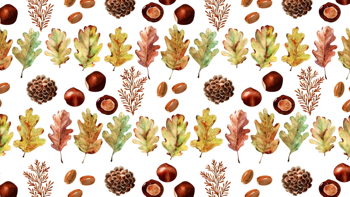 A história  da Maria Castanha