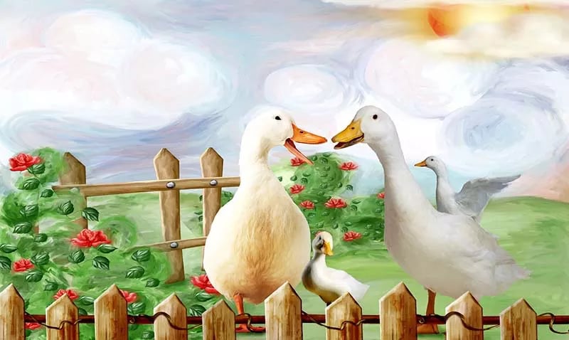 História da Gansa, que se sentia infeliz com a vida na quinta