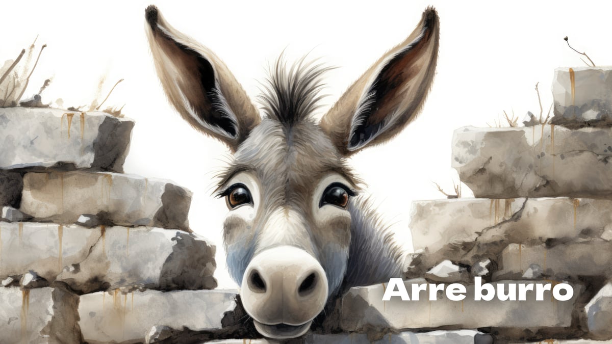 Arre burro, lengalenga da cultura portuguesa em várias versões