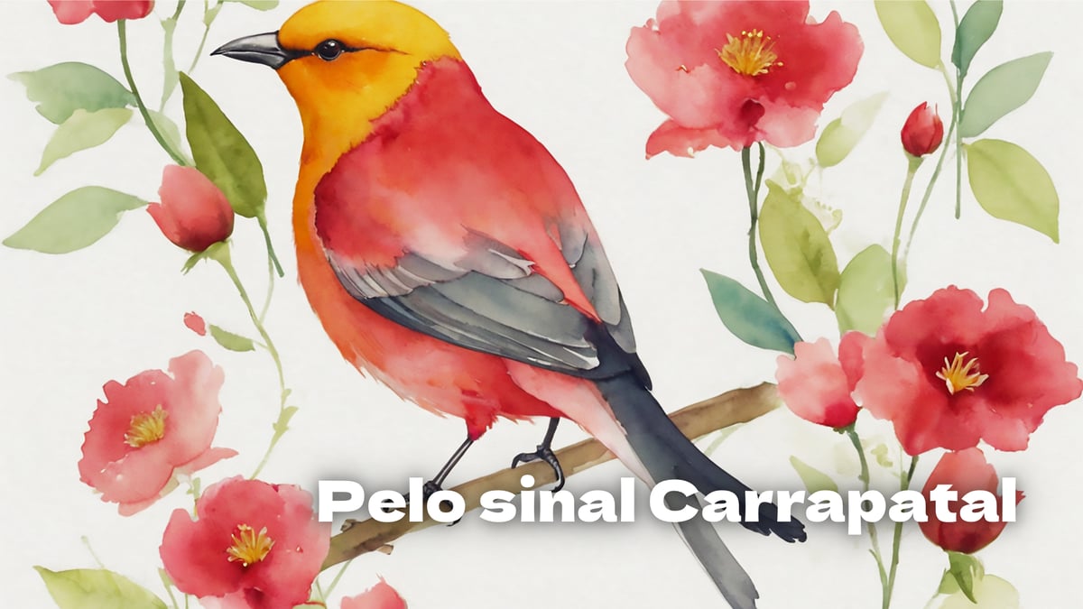 Pelo sinal carrapatal, lengalengas para crianças