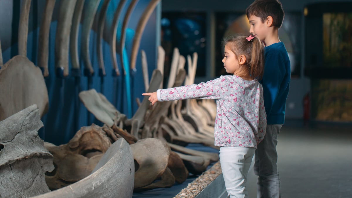 10 museus gratuitos de norte a sul