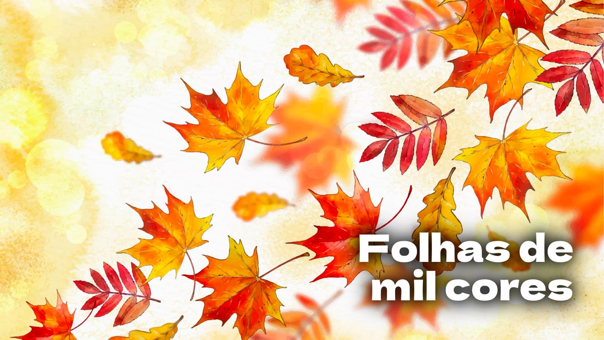 Folhas de mil Cores , música e letra