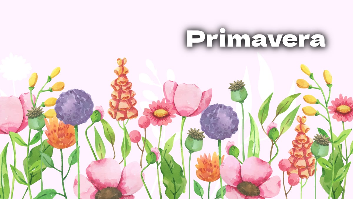 Canções para crianças em Português, música e letra