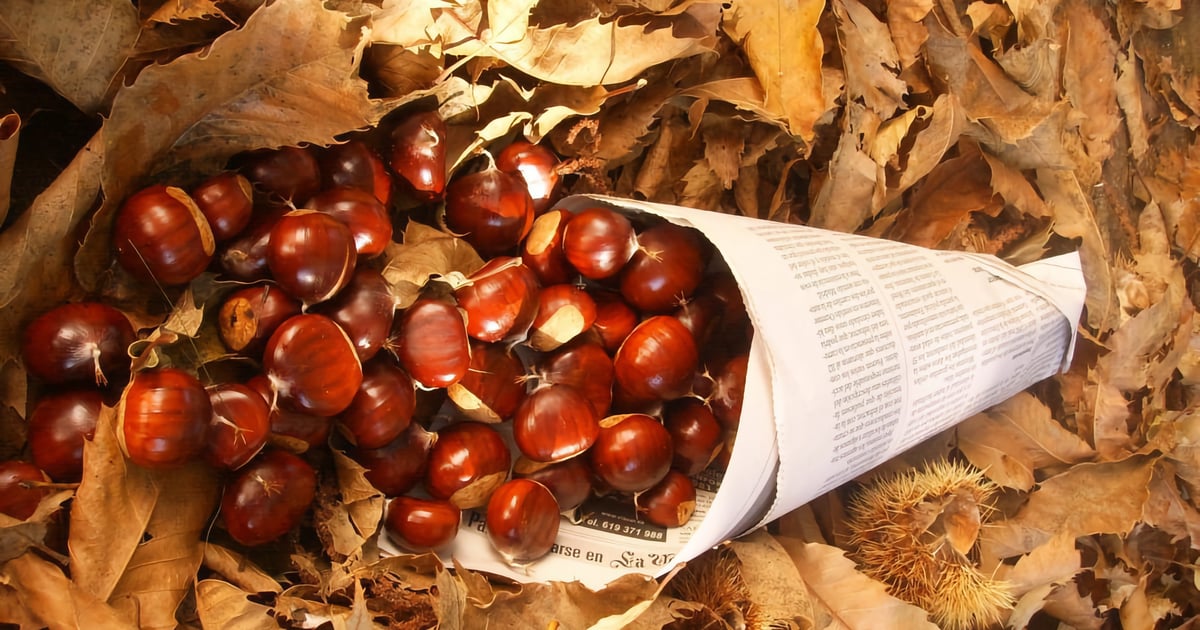 Fique a conhecer alguns Provérbios de São Martinho. O dia de São Martinho celebra-se anualmente a 11 de novembro.