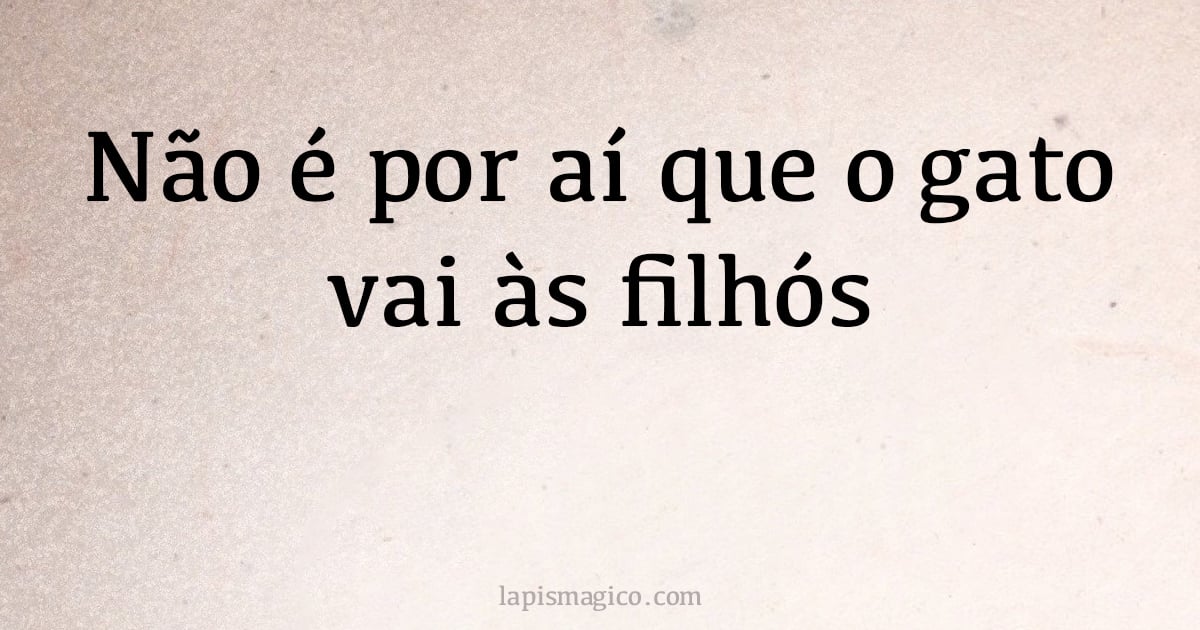 Não é por aí que o gato vai às filhós (provérbio ou dito popular)