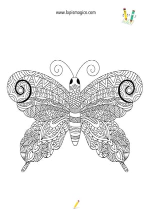 Desenhos de borboletas para colorir, ficha pdf nº4