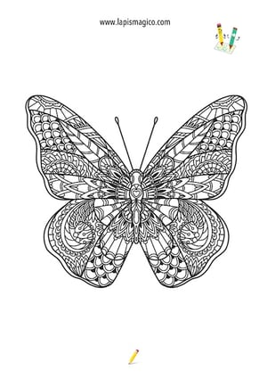 Desenhos de borboletas para colorir, ficha pdf nº9