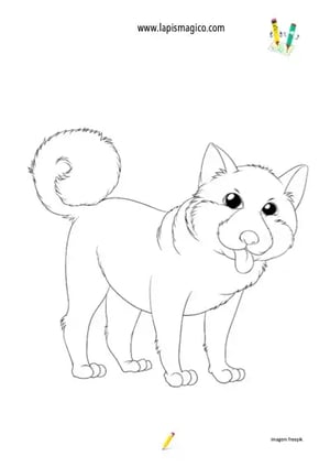 Desenhos de cães fofinhos para colorir, ficha pdf nº3