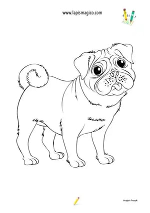 Desenhos de cães fofinhos para colorir, ficha pdf nº5