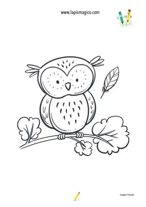 Desenhos de corujas e mochos para colorir, ficha pdf nº3