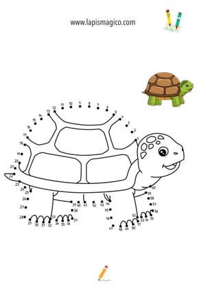 Desenhos de Tartarugas fofinhos para colorir, ficha pdf nº12