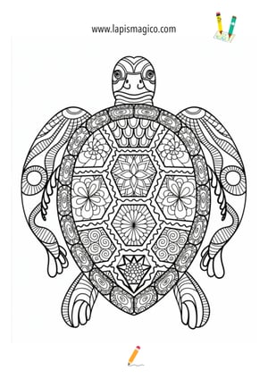 Desenhos de Tartarugas fofinhos para colorir, ficha pdf nº14