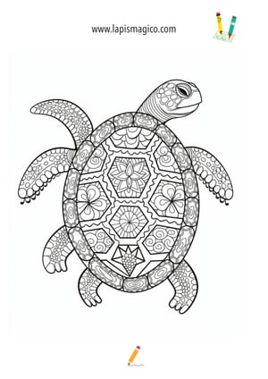 Desenhos de Tartarugas fofinhos para colorir, ficha pdf nº16
