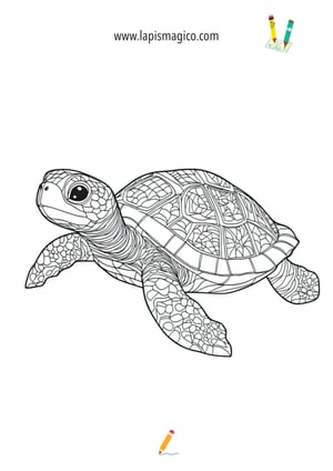 Desenhos de Tartarugas fofinhos para colorir, ficha pdf nº19