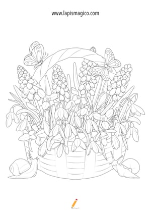 Desenhos de primavera para colorir, ficha pdf nº1 Desenhos de primavera para colorir, ficha pdf nº1