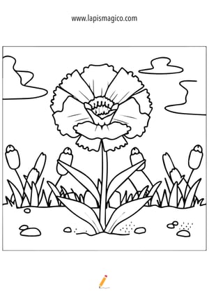 Desenhos de primavera para colorir, ficha pdf nº3 Desenhos de primavera para colorir, ficha pdf nº3