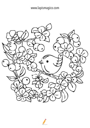 Desenhos de primavera para colorir, ficha pdf nº7 Desenhos de primavera para colorir, ficha pdf nº7