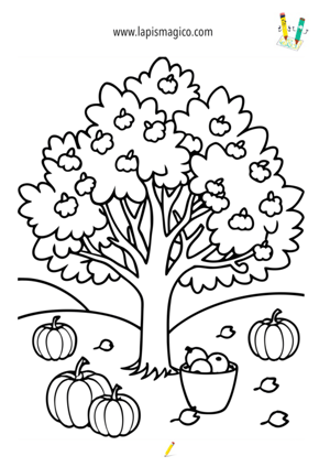 Desenhos de outono para colorir, ficha pdf nº8