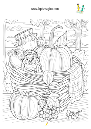 Desenhos de outono para colorir, ficha pdf nº9