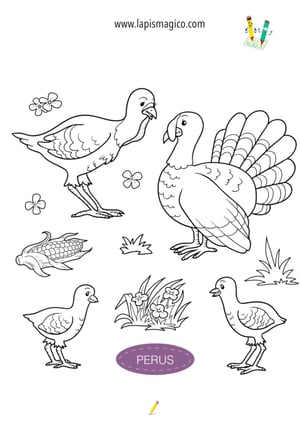 Desenhos de perus para colorir, ficha pdf nº15