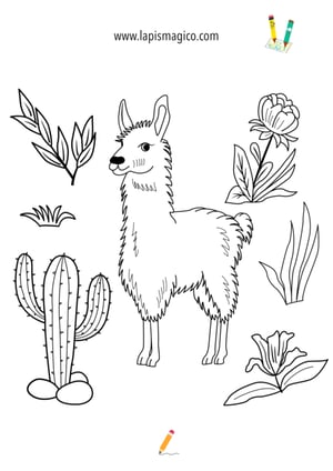 Desenhos de lamas fofinhos para colorir, ficha pdf nº11