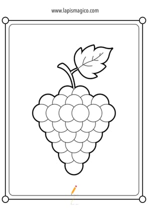 Desenhos de cachos de uvas para colorir, ficha pdf nº2
