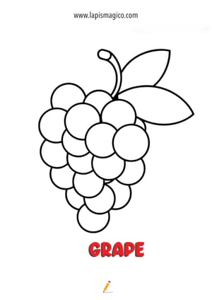 Desenhos de cachos de uvas para colorir, ficha pdf nº3