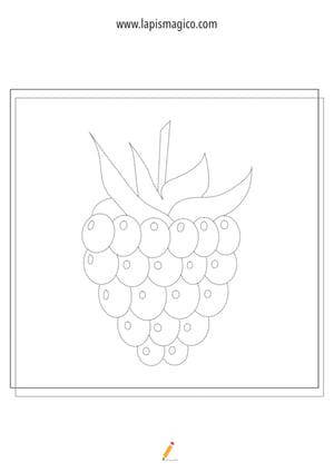 Desenhos de cachos de uvas para colorir, ficha pdf nº4