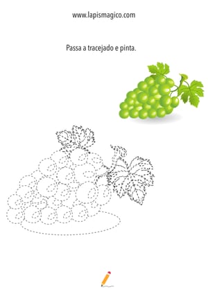 Desenhos de cachos de uvas para colorir, ficha pdf nº7
