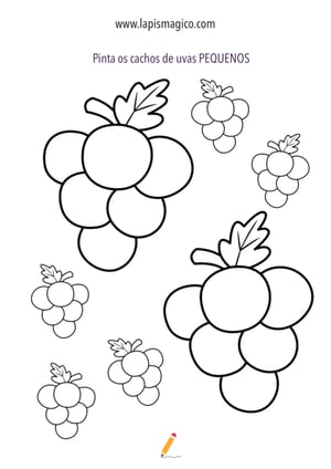 Desenhos de cachos de uvas para colorir, ficha pdf nº9