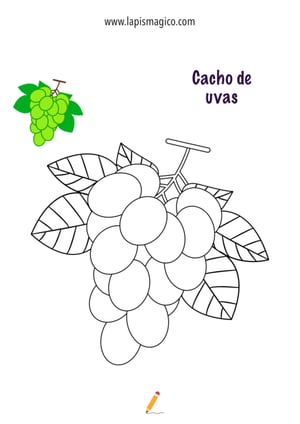 Desenhos de cachos de uvas para colorir, ficha pdf nº10
