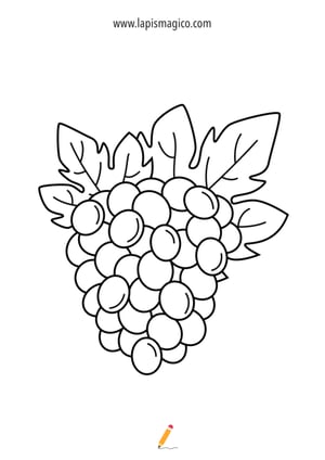 Desenhos de cachos de uvas para colorir, ficha pdf nº12