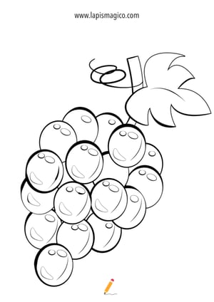 Desenhos de cachos de uvas para colorir, ficha pdf nº13