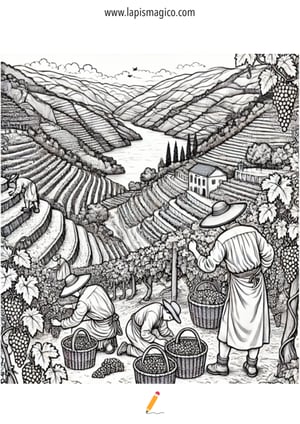 Desenhos de cachos de uvas para colorir, ficha pdf nº18