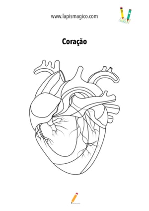Desenhos do corpo humano, ficha pdf nº3