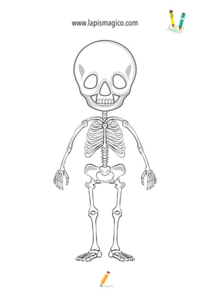 Desenhos do corpo humano, ficha pdf nº6