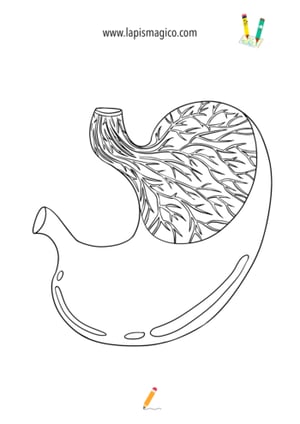 Desenhos do corpo humano, ficha pdf nº9