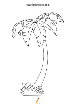 Desenhos de Árvores para colorir, ficha pdf nº13