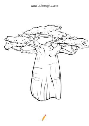 Desenhos de Árvores para colorir, ficha pdf nº14