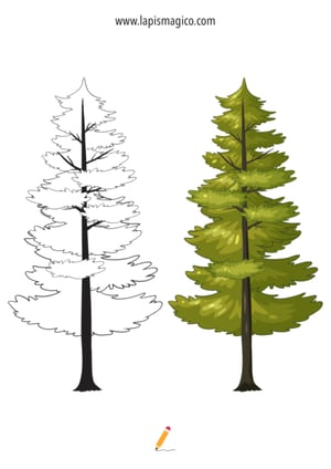 Desenhos de Árvores para colorir, ficha pdf nº15