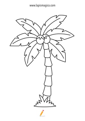 Desenhos de Árvores para colorir, ficha pdf nº20