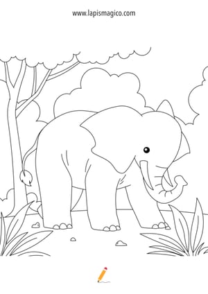 Desenhos de animais da selva para colorir, ficha pdf nº3