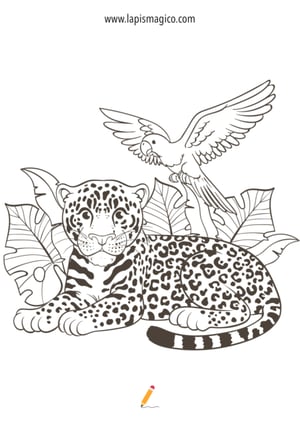 Desenhos de animais da selva para colorir, ficha pdf nº9