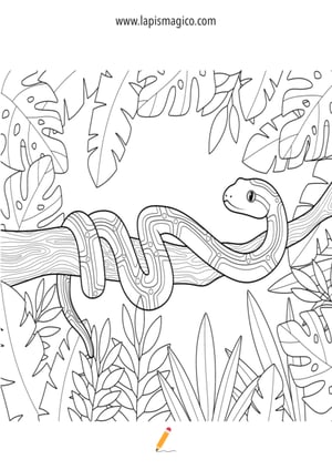 Desenhos de animais da selva para colorir, ficha pdf nº17