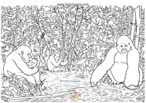 Desenhos de animais da selva para colorir, ficha pdf nº20