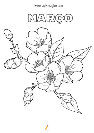 Desenhos de Março para colorir, ficha pdf nº8